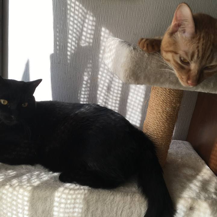 A5d8aa08 a015 44f9 84bf 2de25cd1af58