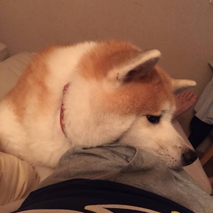 A5d901ea 59b3 4231 b7b5 9b97fa107f98