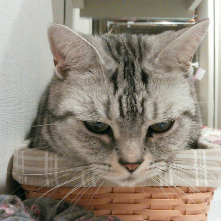 A5d9048f 54b6 4509 ad67 5f220907bcad