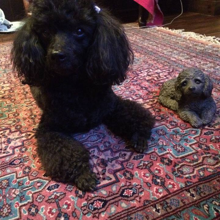 A5d98d2b 563c 47ba a867 21c385144f2a