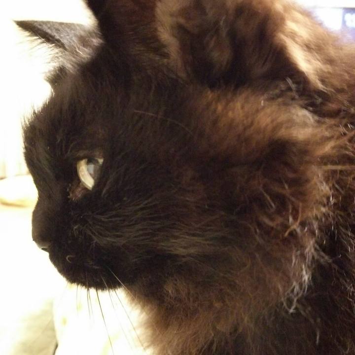 A5d9c948 f675 49a4 b449 277b52eb4745