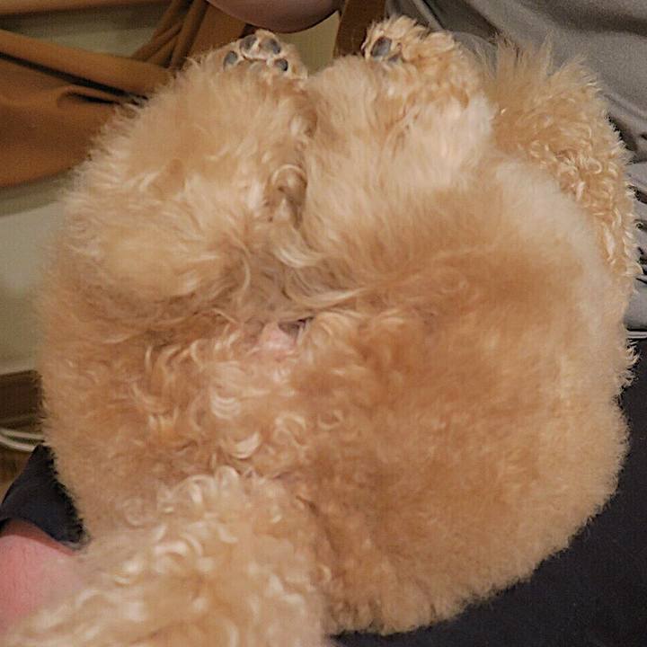 A5da5815 0758 4e61 ba09 aa7f7b831d48