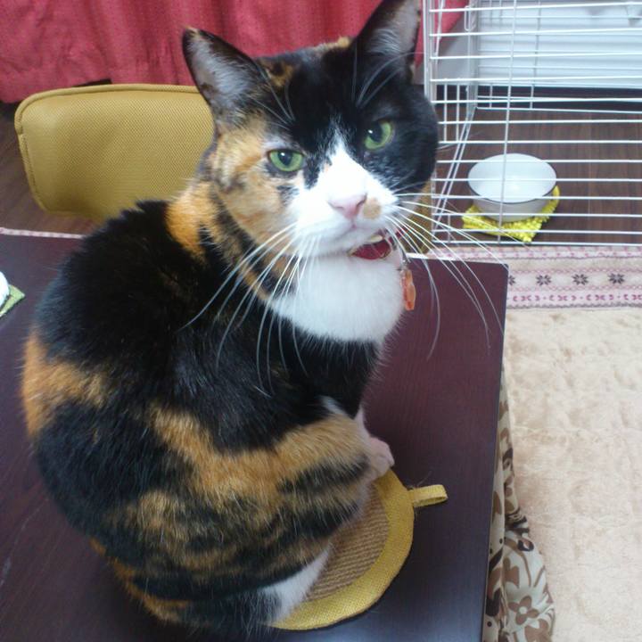 A5da9150 83e9 4ba8 a2f3 01345f9317b2