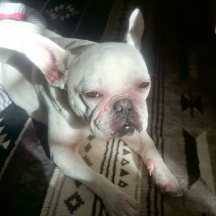 A5daeef0 6b4a 47b7 b98e 8b534624f997