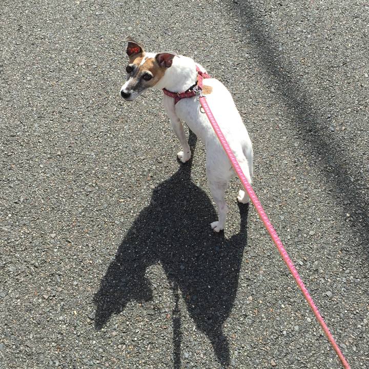 A5db5f7a d801 4f3e 8601 8ffd42768643