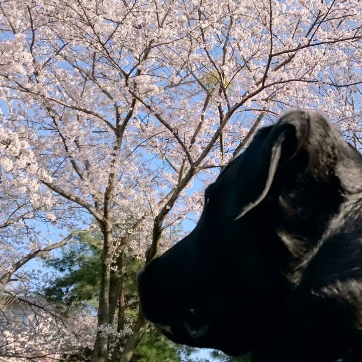 A5db7b22 de83 4356 9ede b3e2da2a21d5