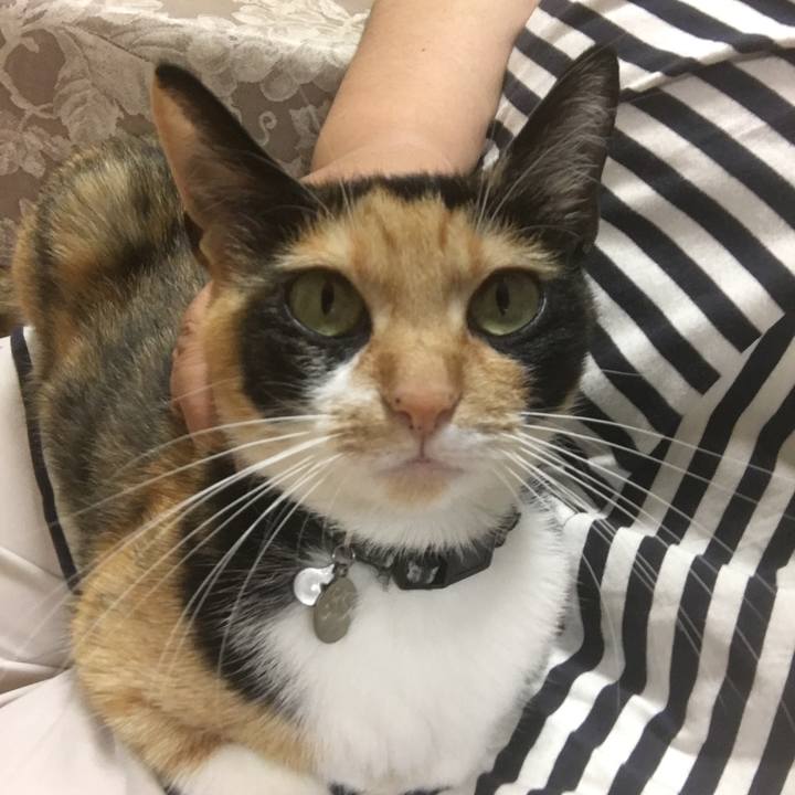 A5dbac68 126d 4724 a345 80cde2001dbb