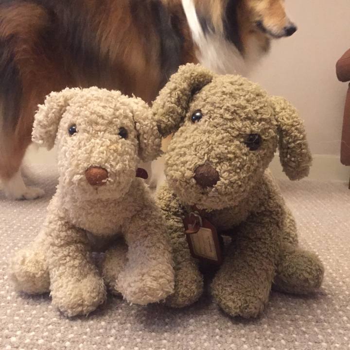 A5dc2b46 505d 4195 addd 2c2659062666