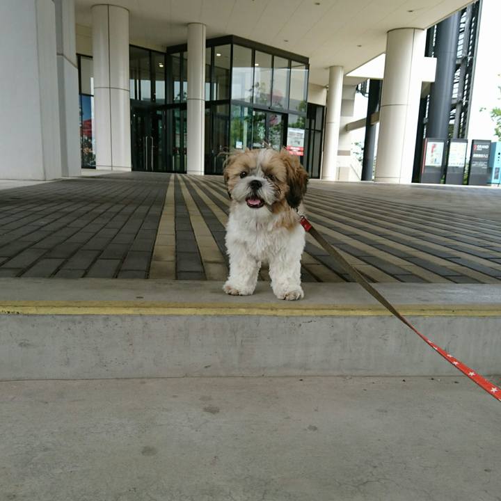 A5dc821d 1f2f 48f2 8c15 38239a3d4610