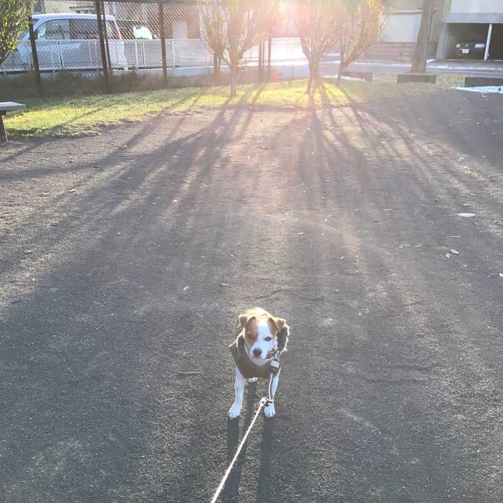 A5dcdfdc 6782 4cf5 8b6c c9e25e1d3085