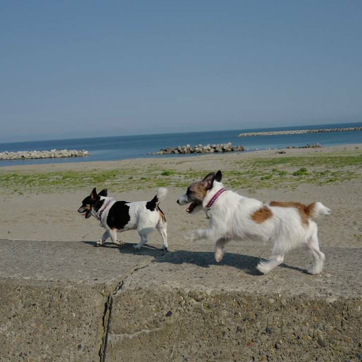 A5dd2720 958c 4781 82d2 971f8bca1d43