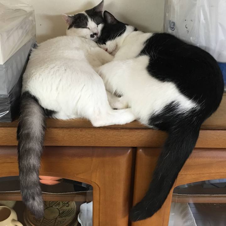 A5ddac2c e5ea 42f5 af44 31c156b26705