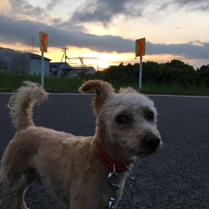 A5ddaeb0 d72f 495f a435 a7ecdf98ed89