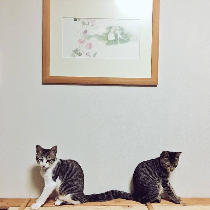 A5ddef7b 7336 4531 9dc4 394922c4d629