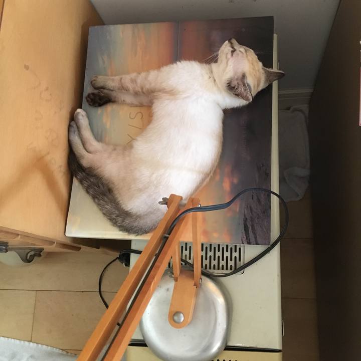 A5de0524 dc49 4d7b 9290 5f639d6afe0c