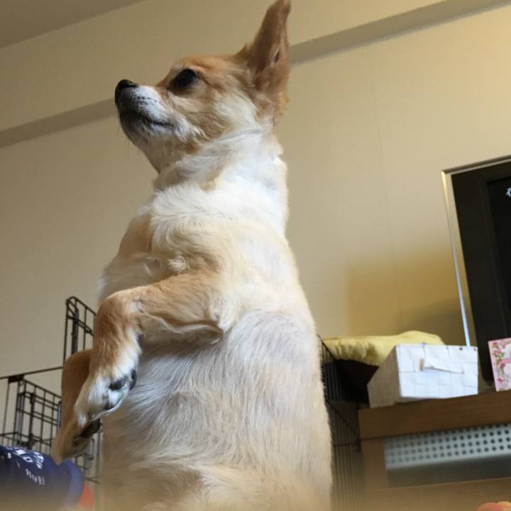 A5de1075 81fd 47c6 9925 afcde18cdb94