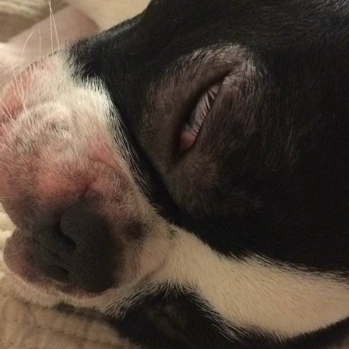 A5deb5ed ec53 4620 a91c 3aa30430d756