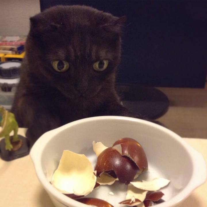 A5dee553 fcf3 4bdd b374 d53a23152f92