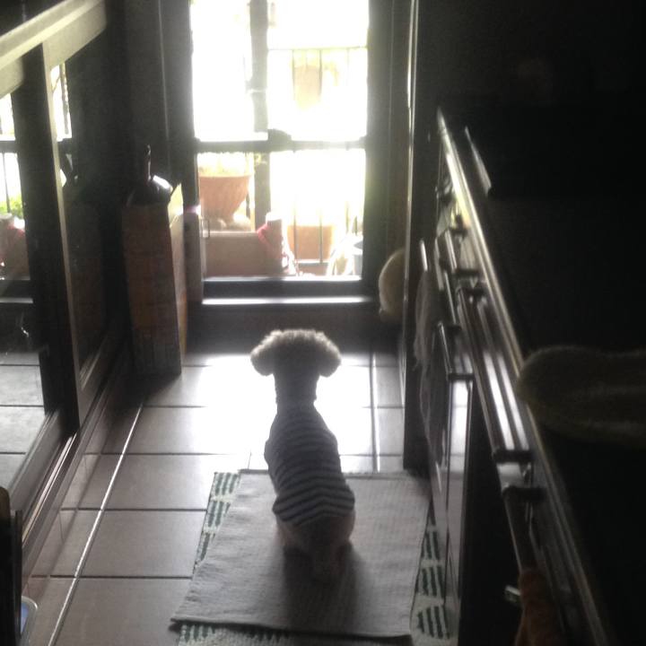 A5df390e e28c 40a0 a9b4 130bd9901305