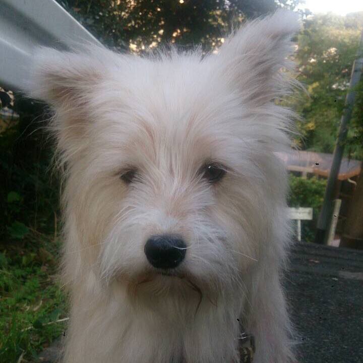 A5df4e4e 8615 41a3 8dff e4fdecf437e0