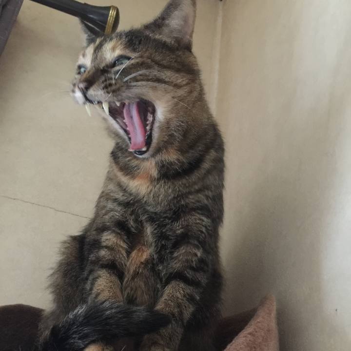 A5df6efa 8888 452f 9e94 bb7b3af63291