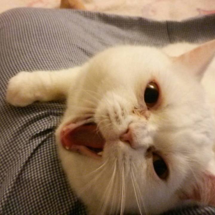 A5dfcb3a 9af0 4620 8b9b 59a6dc59f647