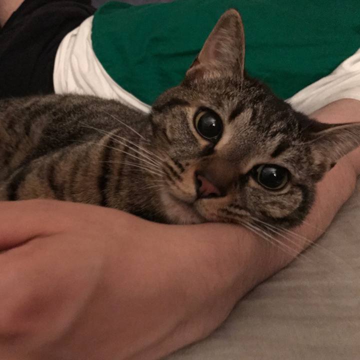 A5dfeabd d750 4a3e 99b5 c4d9b191aaf4