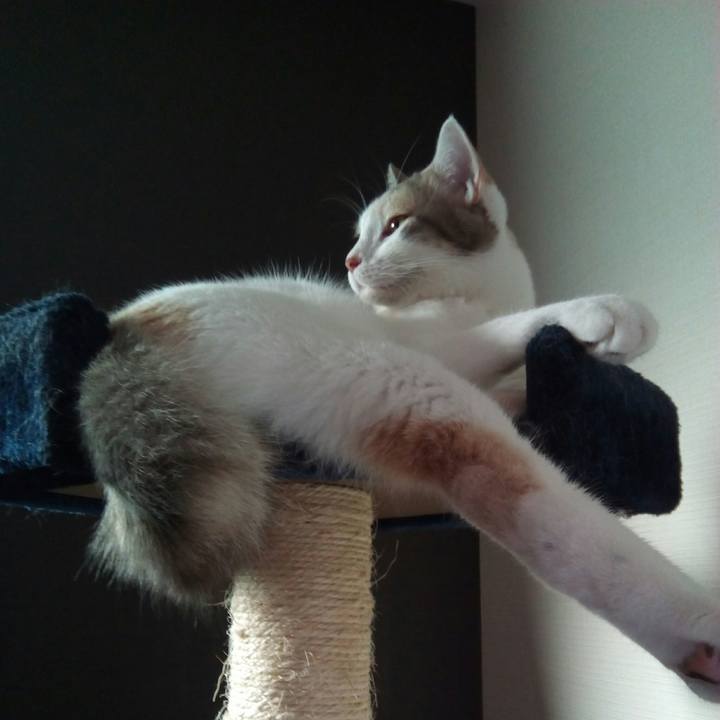 A5e0569a 0f39 4d05 be62 d3cf156ab2b4