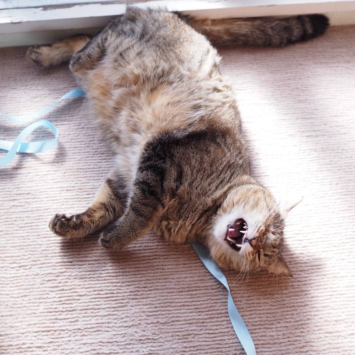 A5e07566 2893 4740 9d71 c0f94d1281e8