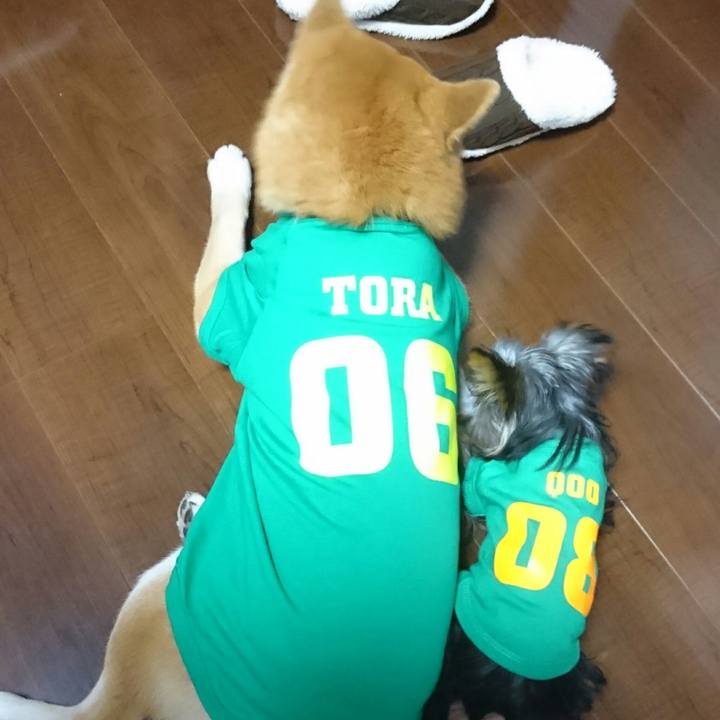 A5e0ba43 42b6 4912 80c8 44679f246091