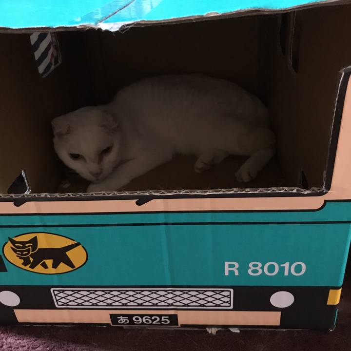 A5e192d6 e146 4431 a58f 0ebdaf218887