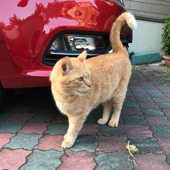 A5e1d7bd ab3e 4c8c 8b21 adaec2ccb89f