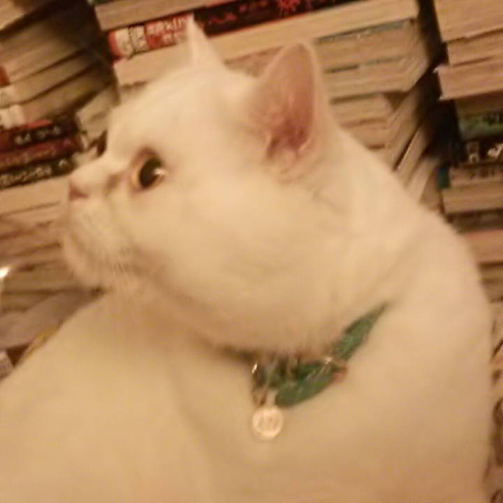 A5e32e17 a2ba 4663 959e 9f8ff80dc1eb