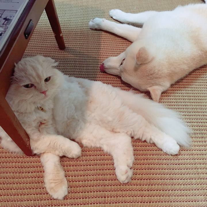 A5e39b07 3276 43c5 8821 f8edb61aa147