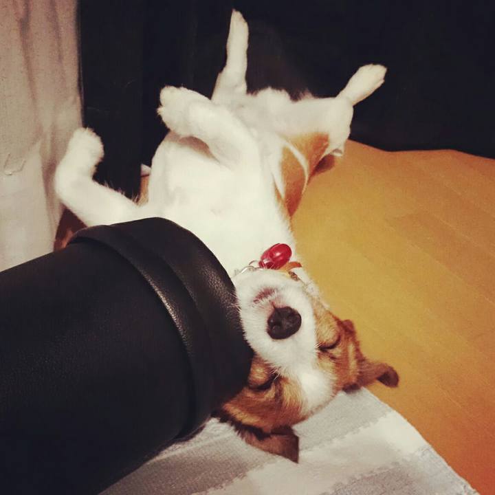 A5e3ff57 b38b 4119 94de 902b24f830a3