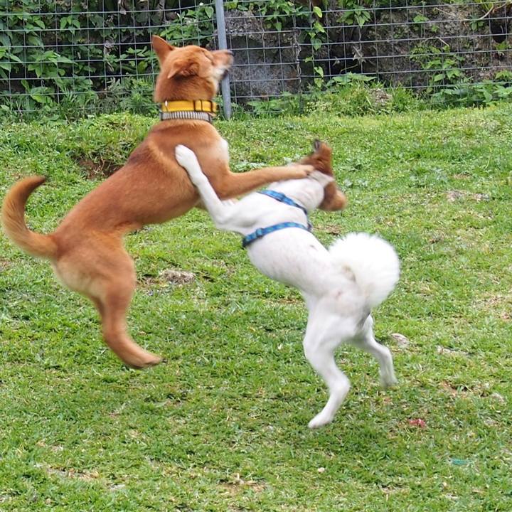 A5e40ed8 0762 4fb8 80d5 7ba732f816e0