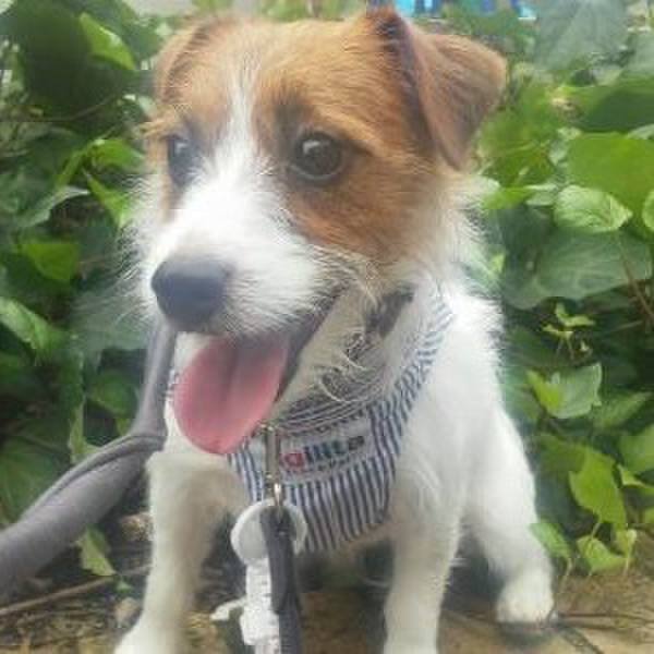 A5e4a0cd 0b67 4141 aa8f 625f983e96d6