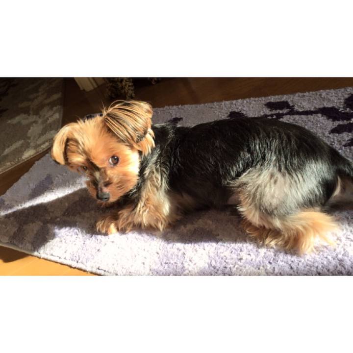 A5e4ed2e 1567 456a 9f74 c2ba9960adfc