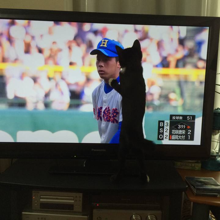 A5e4fd9a ec46 415b b516 3c95db07d743