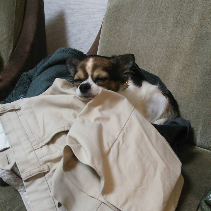 A5e5c870 8a8f 41f0 806d 57fe05108cb7