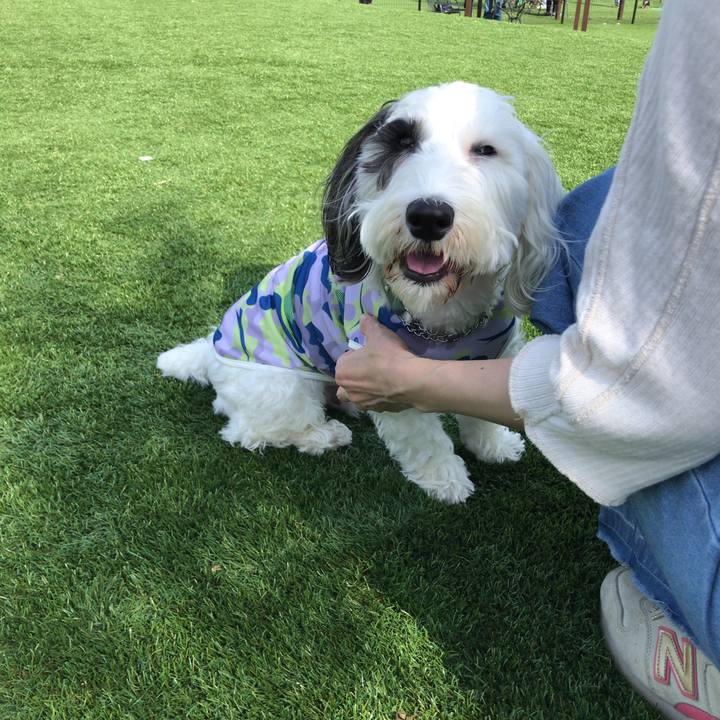 A5e5cb7b 2e5d 4a29 bd1e 484460eda01c