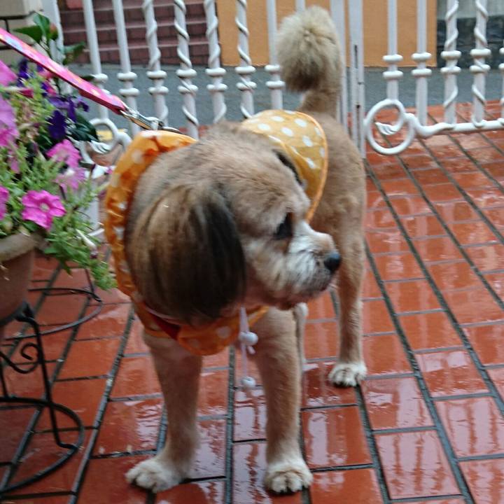 A5e5fb69 23c2 460f 8f88 09cb9059d8d2