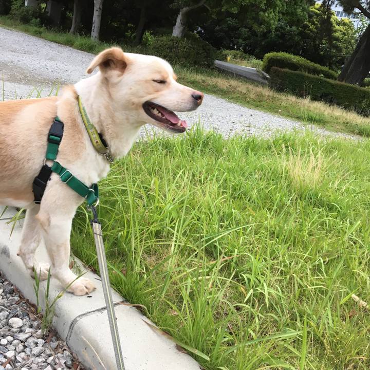 A5e68c27 534b 4442 ae56 c4c6ec8d5c6e