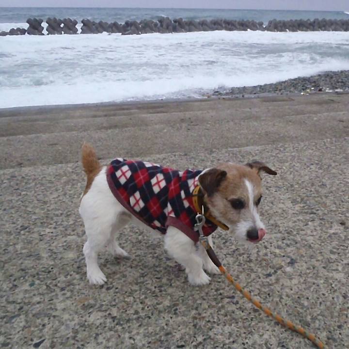 A5e6c9fd cb0a 4a44 8b76 241de858378c