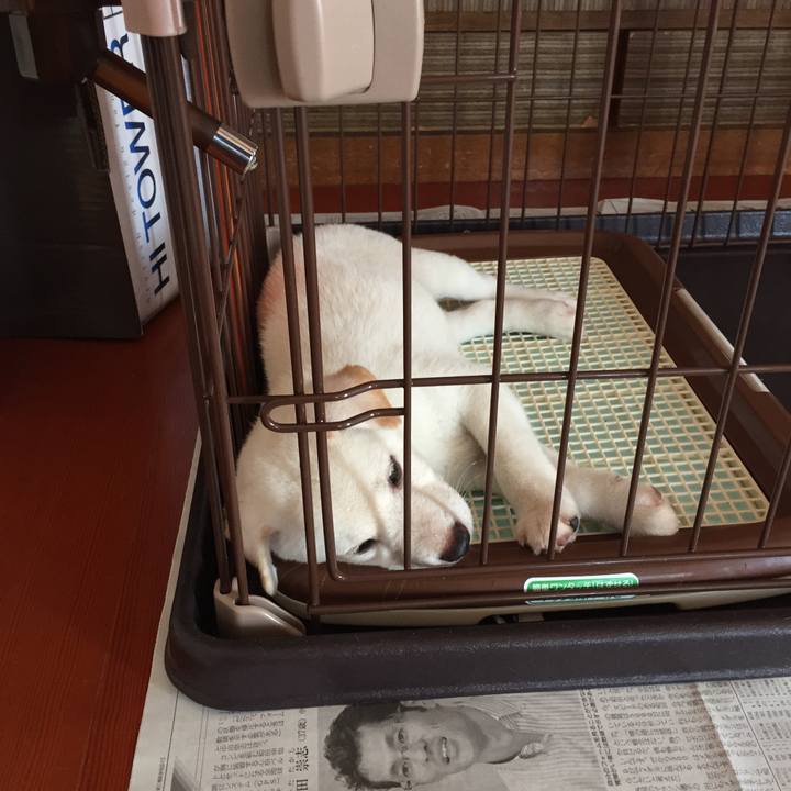 A5e767e2 4102 4e06 a056 45f0ec89866d