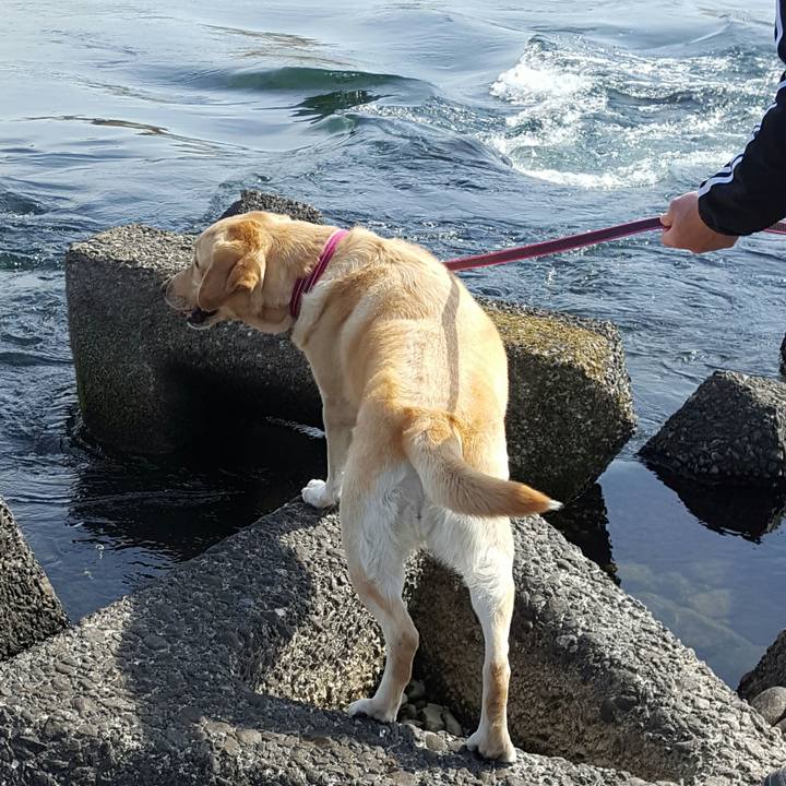 A5e7f42d f5a0 4432 b439 e3ff366c76bb