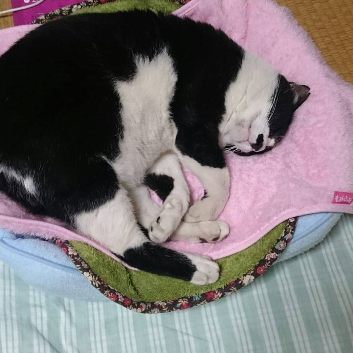 A5e872ab 9ec4 465a 9967 0399ae758f5b