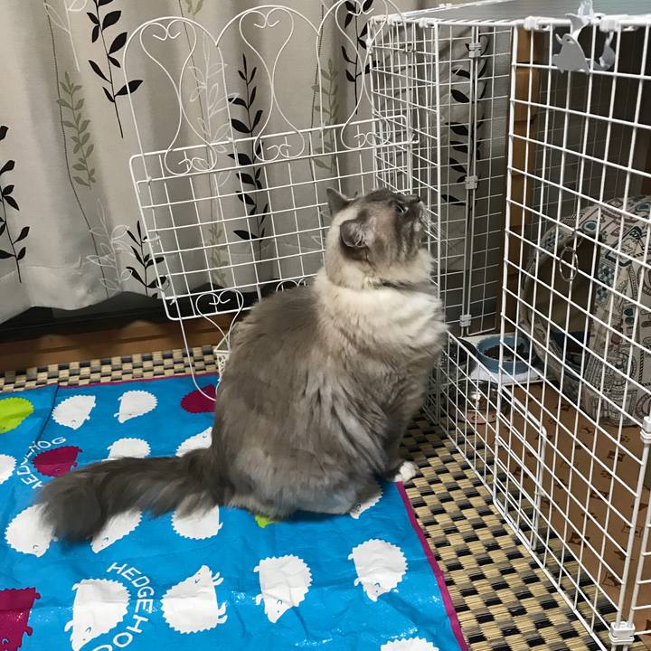 A5e8c393 2afb 4435 a9e9 7b2f19bef215