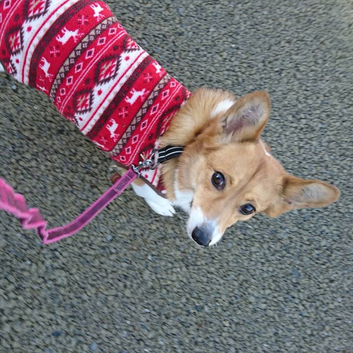 A5e8ceee bb3c 4bfe abaa 118a071cf6df