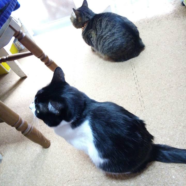 A5e8cf4e ac19 431d 9f53 f1a182617d12